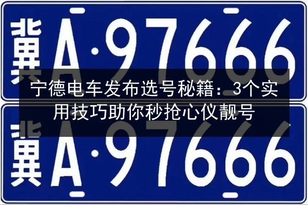 宁德电车发布选号秘籍：3个实用技巧助你秒抢心仪靓号 第3张