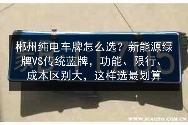 郴州纯电车牌怎么选？新能源绿牌VS传统蓝牌，功能、限行、成本区别大，这样选最划算