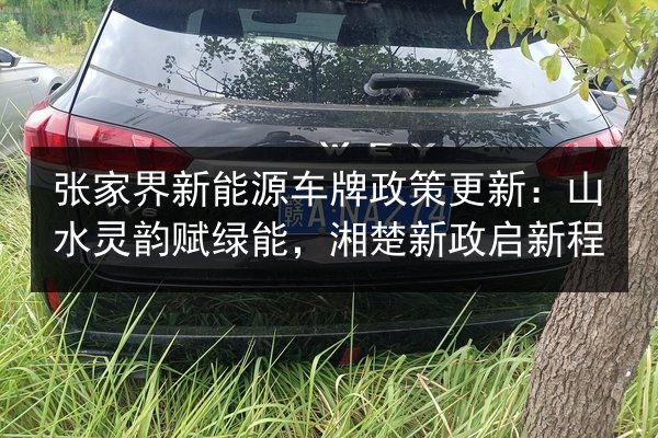 张家界新能源车牌政策更新:山水灵韵赋绿能,湘楚新政启新程 第3张 张家界新能源车牌政策更新:山水灵韵赋绿能,湘楚新政启新程 第3张