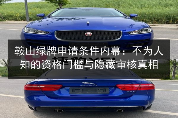 鞍山绿牌申请条件内幕：不为人知的资格门槛与隐藏审核真相 第2张