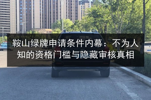 鞍山绿牌申请条件内幕：不为人知的资格门槛与隐藏审核真相 第3张