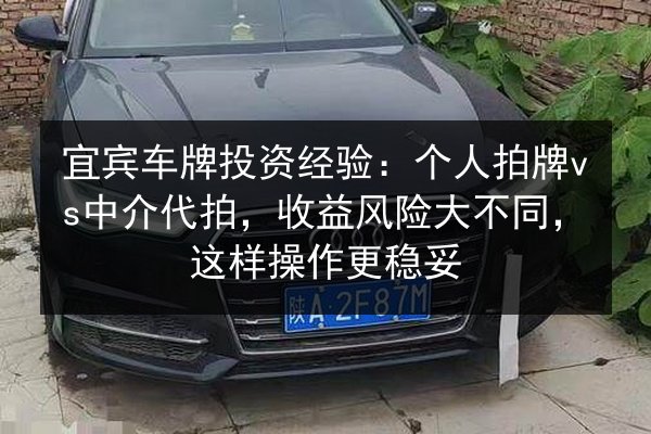 宜宾车牌投资经验：个人拍牌vs中介代拍，收益风险大不同，这样操作更稳妥
