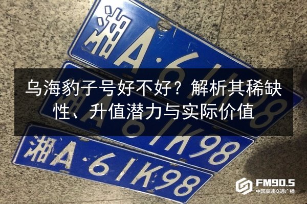 乌海豹子号好不好？解析其稀缺性、升值潜力与实际价值