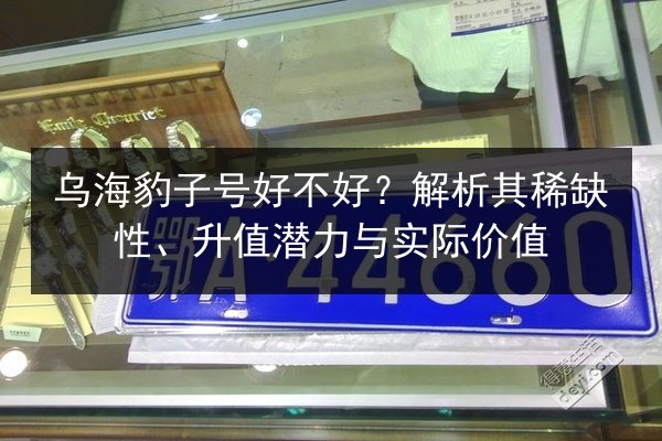乌海豹子号好不好?解析其稀缺性、升值潜力与实际价值 第2张 乌海豹子号好不好?解析其稀缺性、升值潜力与实际价值 第2张