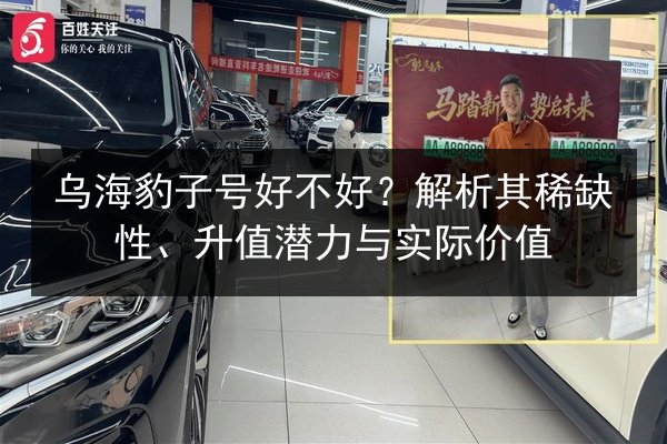 乌海豹子号好不好?解析其稀缺性、升值潜力与实际价值 第3张 乌海豹子号好不好?解析其稀缺性、升值潜力与实际价值 第3张