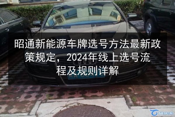 昭通新能源车牌选号方法最新政策规定，2024年线上选号流程及规则详解 第2张