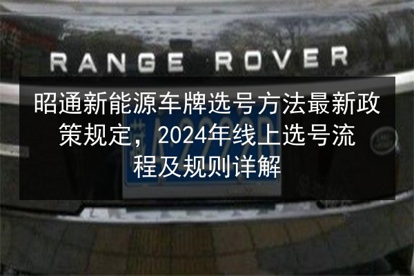 昭通新能源车牌选号方法最新政策规定，2024年线上选号流程及规则详解 第3张