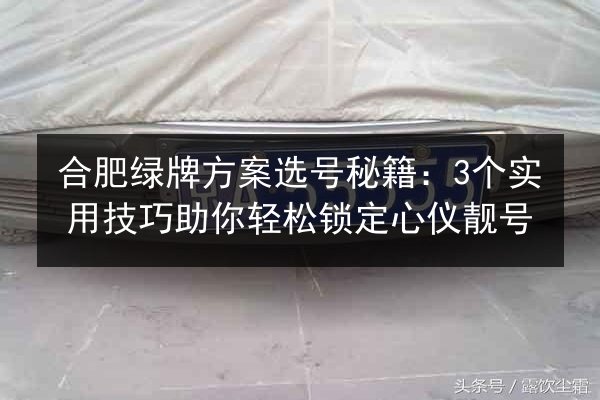 合肥绿牌方案选号秘籍：3个实用技巧助你轻松锁定心仪靓号