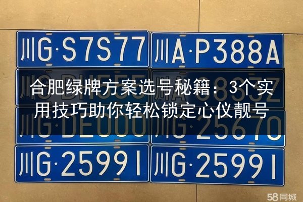 合肥绿牌方案选号秘籍:3个实用技巧助你轻松锁定心仪靓号 第3张 合肥绿牌方案选号秘籍:3个实用技巧助你轻松锁定心仪靓号 第3张