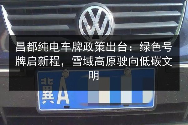 昌都纯电车牌政策出台：绿色号牌启新程，雪域高原驶向低碳文明 第2张