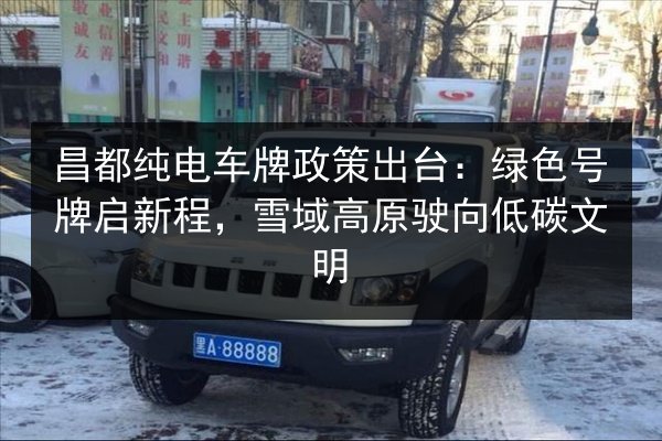 昌都纯电车牌政策出台：绿色号牌启新程，雪域高原驶向低碳文明 第3张