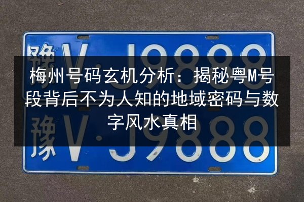 梅州号码玄机分析：揭秘粤M号段背后不为人知的地域密码与数字风水真相