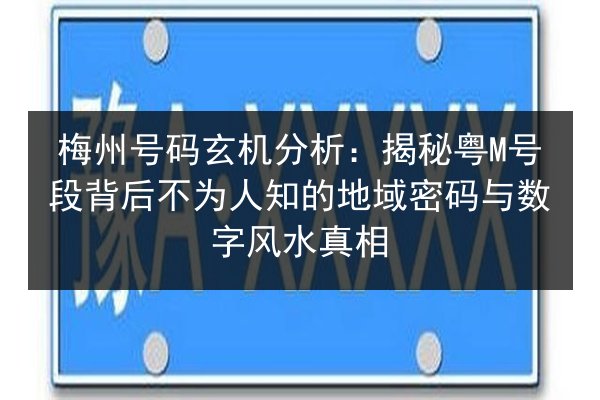 梅州号码玄机分析：揭秘粤M号段背后不为人知的地域密码与数字风水真相 第2张