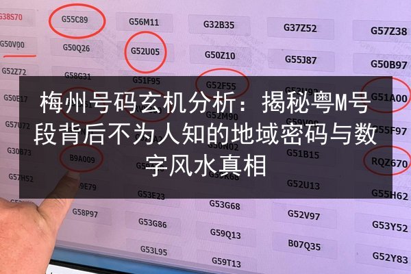 梅州号码玄机分析：揭秘粤M号段背后不为人知的地域密码与数字风水真相 第3张