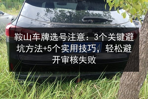 鞍山车牌选号注意:3个关键避坑方法+5个实用技巧,轻松避开审核失败 第2张 鞍山车牌选号注意:3个关键避坑方法+5个实用技巧,轻松避开审核失败 第2张