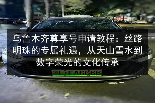 乌鲁木齐尊享号申请教程：丝路明珠的专属礼遇，从天山雪水到数字荣光的文化传承