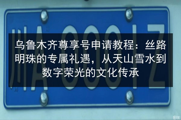 乌鲁木齐尊享号申请教程：丝路明珠的专属礼遇，从天山雪水到数字荣光的文化传承 第2张