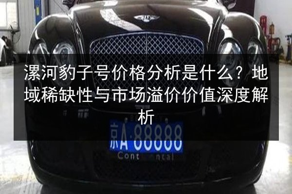 漯河豹子号价格分析是什么?地域稀缺性与市场溢价价值深度解析 第3张 漯河豹子号价格分析是什么?地域稀缺性与市场溢价价值深度解析 第3张