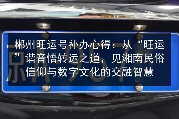 郴州旺运号补办心得：从“旺运”谐音悟转运之道，见湘南民俗信仰与数字文化的交融智慧