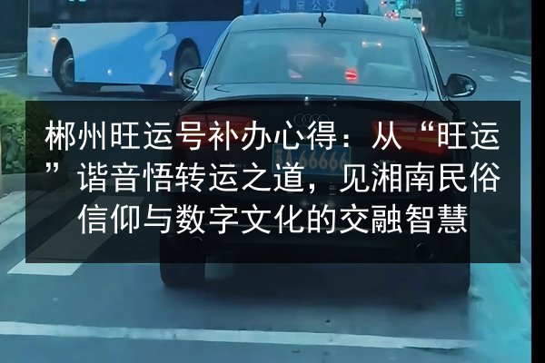 郴州旺运号补办心得：从“旺运”谐音悟转运之道，见湘南民俗信仰与数字文化的交融智慧 第2张