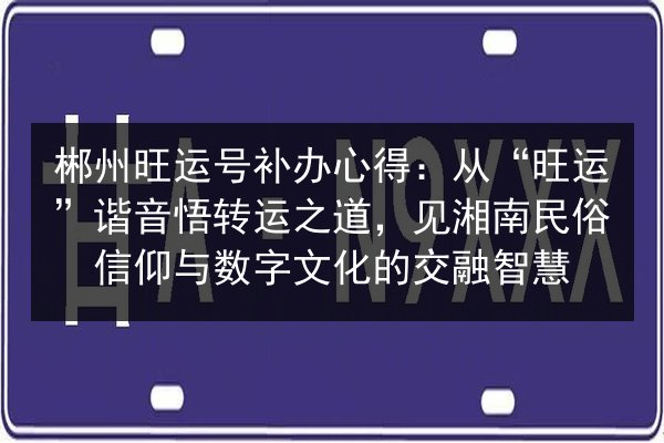 郴州旺运号补办心得：从“旺运”谐音悟转运之道，见湘南民俗信仰与数字文化的交融智慧 第3张