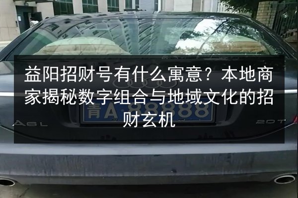 益阳招财号有什么寓意?本地商家揭秘数字组合与地域文化的招财玄机 第2张 益阳招财号有什么寓意?本地商家揭秘数字组合与地域文化的招财玄机 第2张