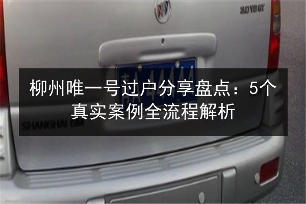 柳州唯一号过户分享盘点：5个真实案例全流程解析 第3张