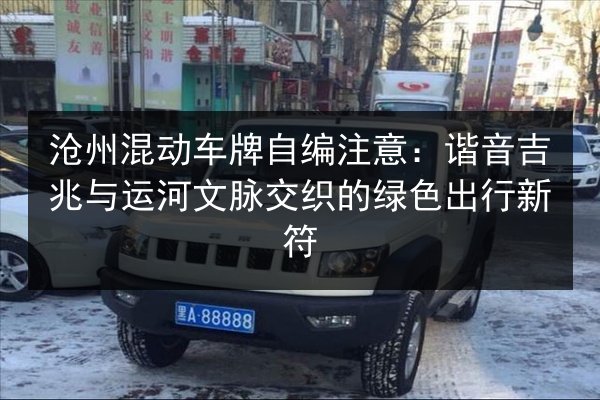 沧州混动车牌自编注意：谐音吉兆与运河文脉交织的绿色出行新符 第2张