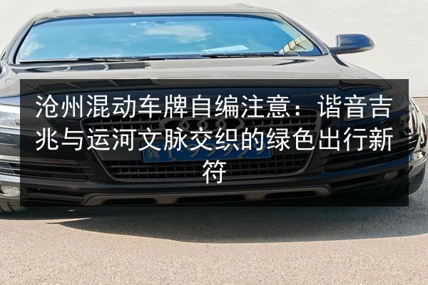 沧州混动车牌自编注意：谐音吉兆与运河文脉交织的绿色出行新符 第3张