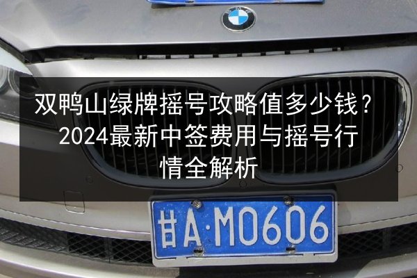 双鸭山绿牌摇号攻略值多少钱？2024最新中签费用与摇号行情全解析