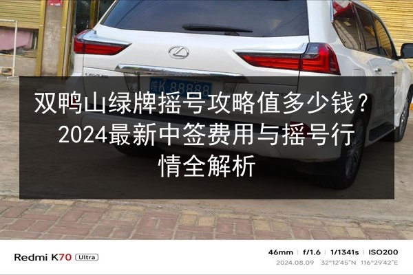 双鸭山绿牌摇号攻略值多少钱?2024最新中签费用与摇号行情全解析 第2张 双鸭山绿牌摇号攻略值多少钱?2024最新中签费用与摇号行情全解析 第2张