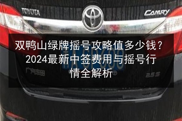 双鸭山绿牌摇号攻略值多少钱?2024最新中签费用与摇号行情全解析 第3张 双鸭山绿牌摇号攻略值多少钱?2024最新中签费用与摇号行情全解析 第3张