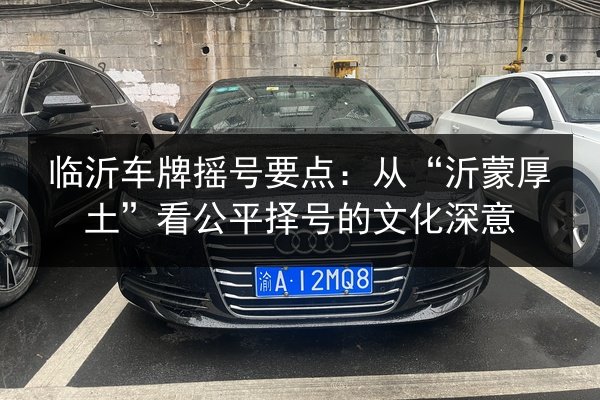 临沂车牌摇号要点：从“沂蒙厚土”看公平择号的文化深意 第3张