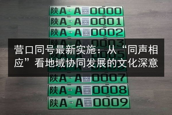 营口同号最新实施：从“同声相应”看地域协同发展的文化深意
