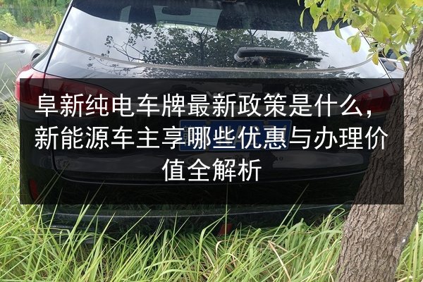 阜新纯电车牌最新政策是什么,新能源车主享哪些优惠与办理价值全解析 第2张 阜新纯电车牌最新政策是什么,新能源车主享哪些优惠与办理价值全解析 第2张
