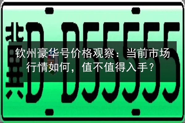 钦州豪华号价格观察：当前市场行情如何，值不值得入手？