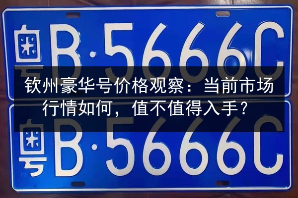 钦州豪华号价格观察:当前市场行情如何,值不值得入手? 第3张 钦州豪华号价格观察:当前市场行情如何,值不值得入手? 第3张