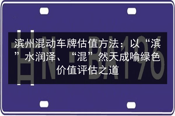 滨州混动车牌估值方法：以“滨”水润泽、“混”然天成喻绿色价值评估之道