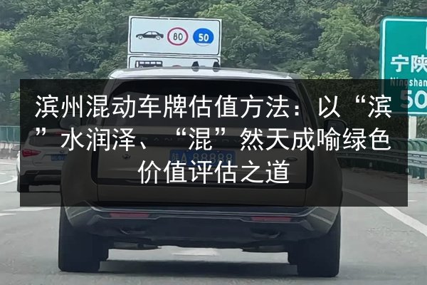 滨州混动车牌估值方法：以“滨”水润泽、“混”然天成喻绿色价值评估之道 第2张