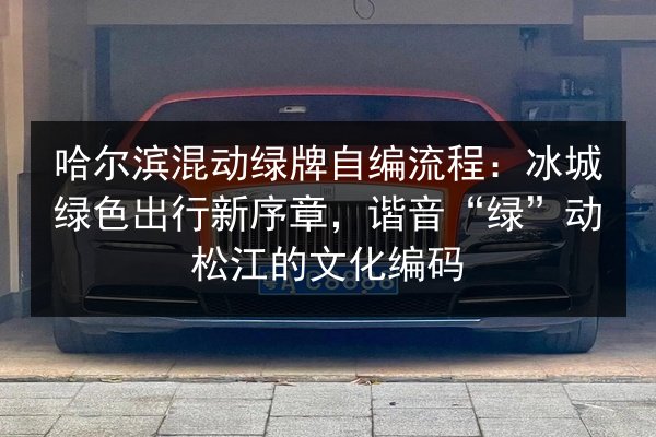哈尔滨混动绿牌自编流程:冰城绿色出行新序章,谐音“绿”动松江的文化编码 第2张 哈尔滨混动绿牌自编流程:冰城绿色出行新序章,谐音“绿”动松江的文化编码 第2张