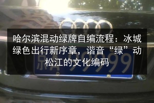 哈尔滨混动绿牌自编流程:冰城绿色出行新序章,谐音“绿”动松江的文化编码 第3张 哈尔滨混动绿牌自编流程:冰城绿色出行新序章,谐音“绿”动松江的文化编码 第3张