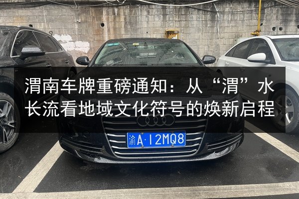 渭南车牌重磅通知:从“渭”水长流看地域文化符号的焕新启程 第2张 渭南车牌重磅通知:从“渭”水长流看地域文化符号的焕新启程 第2张