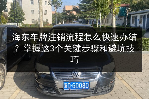 海东车牌注销流程怎么快速办结？掌握这3个关键步骤和避坑技巧