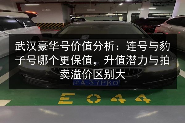 武汉豪华号价值分析：连号与豹子号哪个更保值，升值潜力与拍卖溢价区别大 第2张