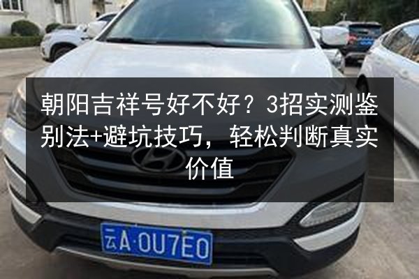 朝阳吉祥号好不好?3招实测鉴别法+避坑技巧,轻松判断真实价值 第3张 朝阳吉祥号好不好?3招实测鉴别法+避坑技巧,轻松判断真实价值 第3张