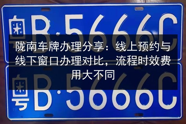 陇南车牌办理分享：线上预约与线下窗口办理对比，流程时效费用大不同