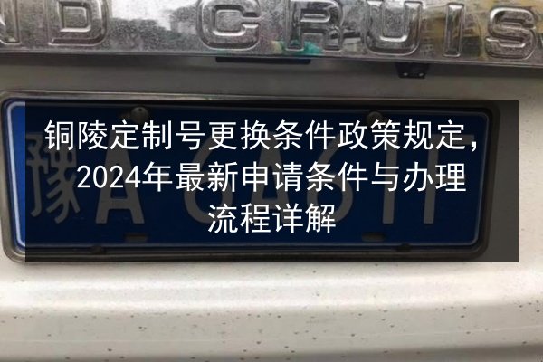 铜陵定制号更换条件政策规定，2024年最新申请条件与办理流程详解 第2张
