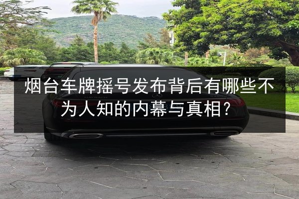 烟台车牌摇号发布背后有哪些不为人知的内幕与真相? 第3张 烟台车牌摇号发布背后有哪些不为人知的内幕与真相? 第3张