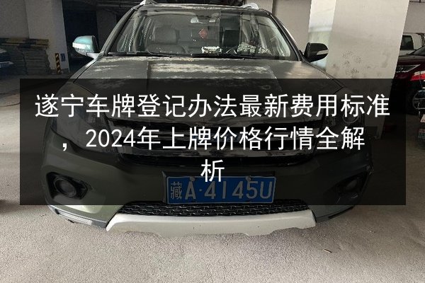 遂宁车牌登记办法最新费用标准，2024年上牌价格行情全解析 第2张