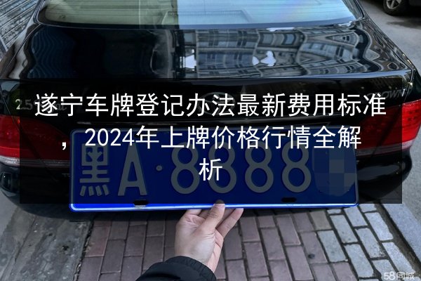遂宁车牌登记办法最新费用标准，2024年上牌价格行情全解析 第3张